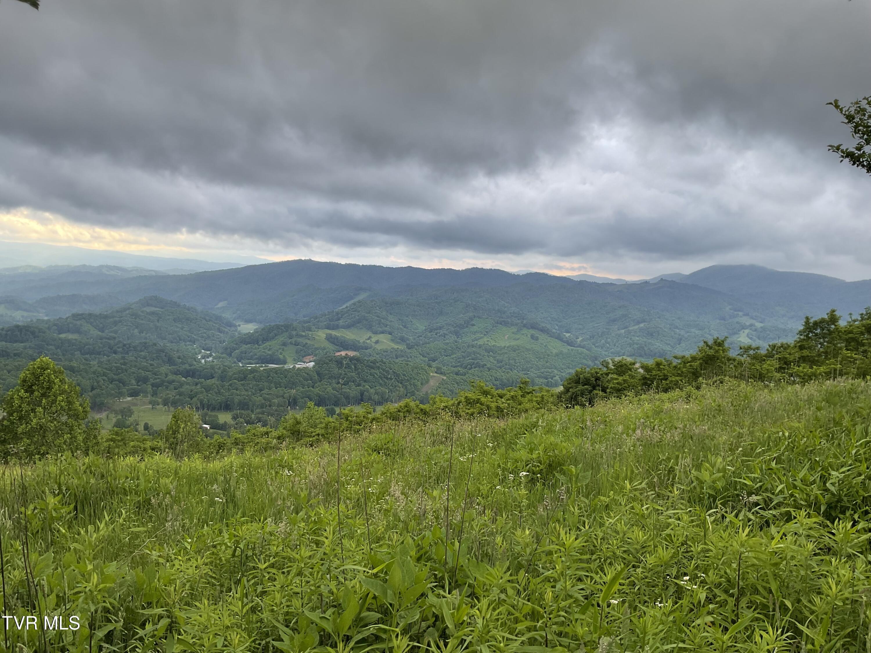 Image 3: Sunalei Pic 1