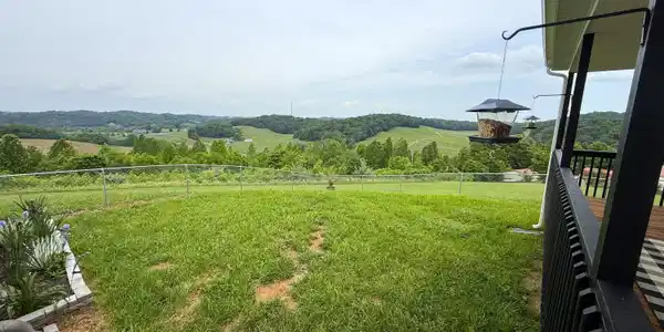 Image 4: 4