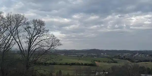 Image 2: Free Hill.jpeg1