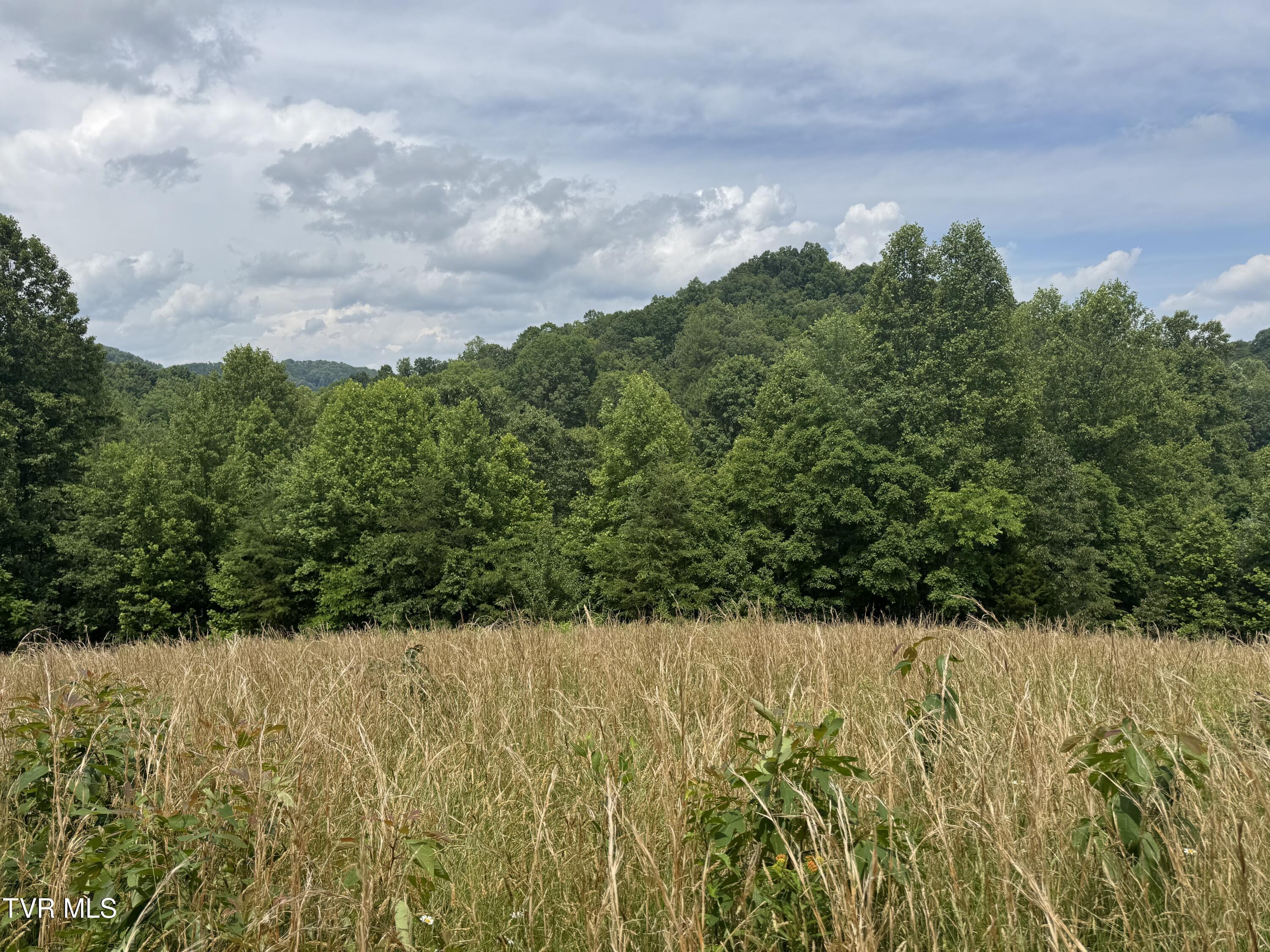 Image 4: IMG_9380