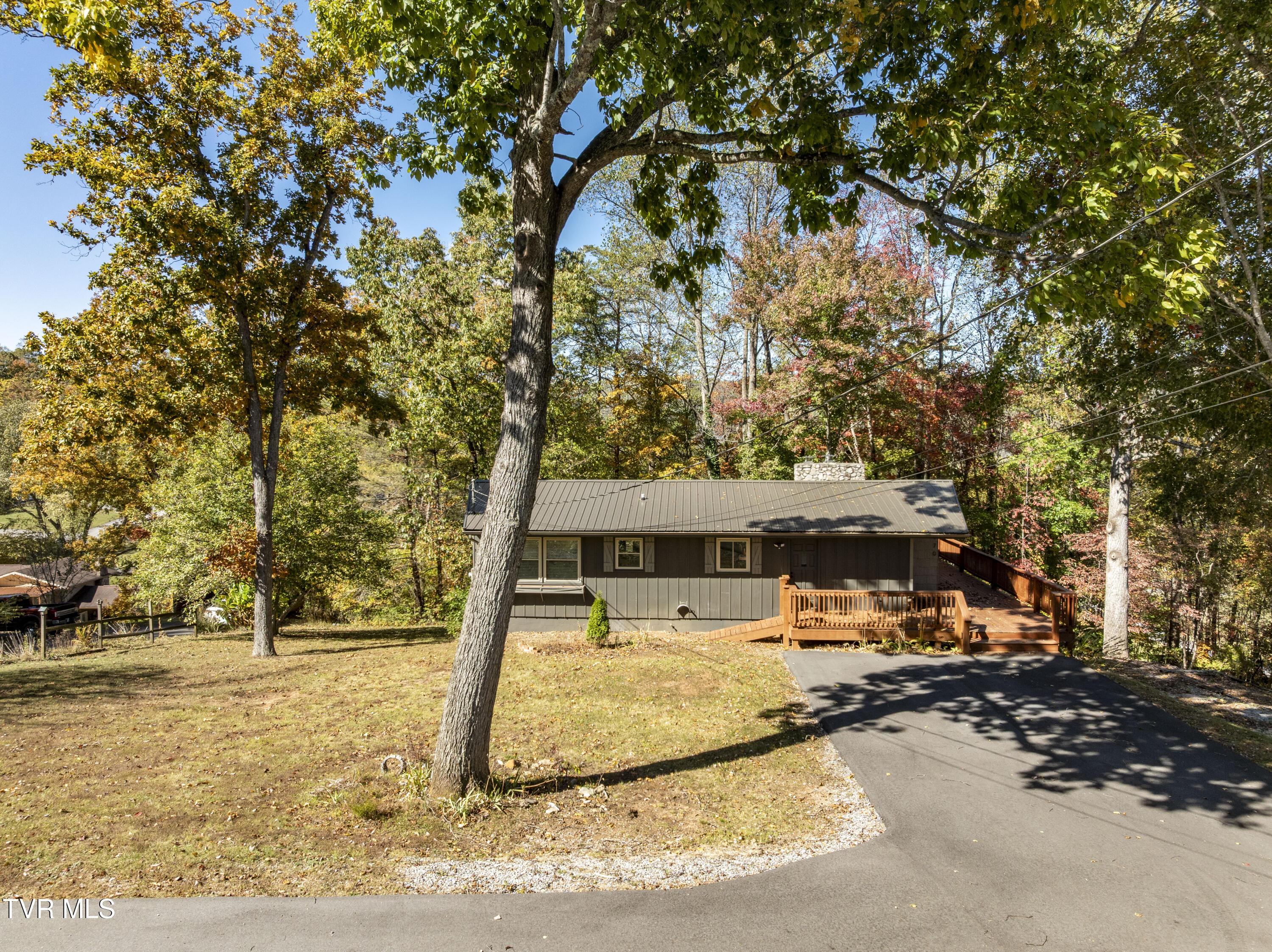 Image 2: DiAne-Aerials-2