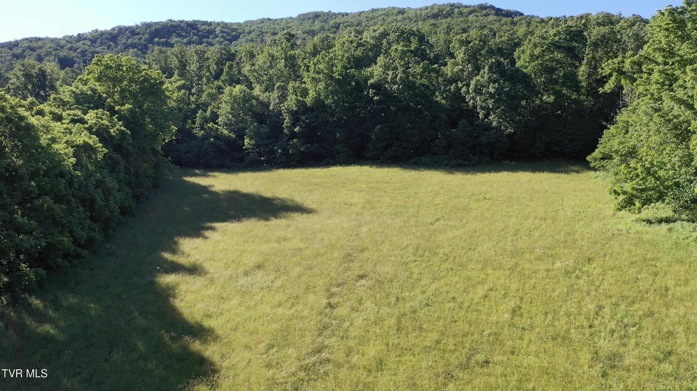 Image 4: _Pic4 (4)