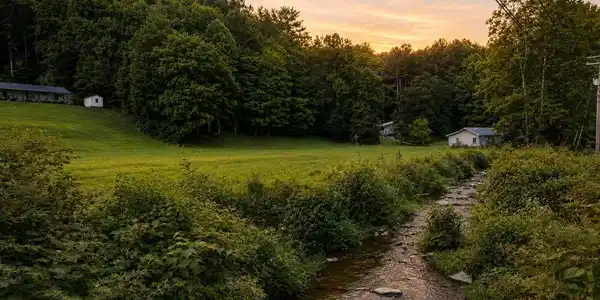 Image 3: Shell Creek Road property