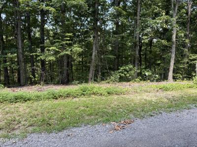 Lot 36 Pecan Tree Lane