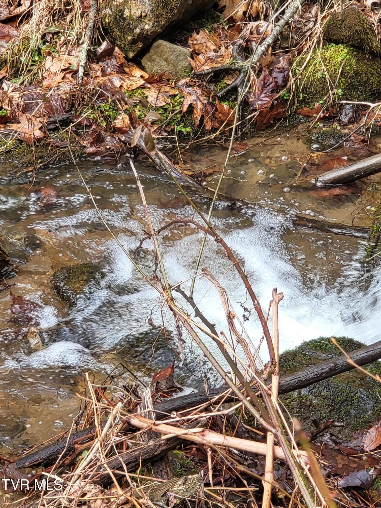 Image 3: 20260217_134100