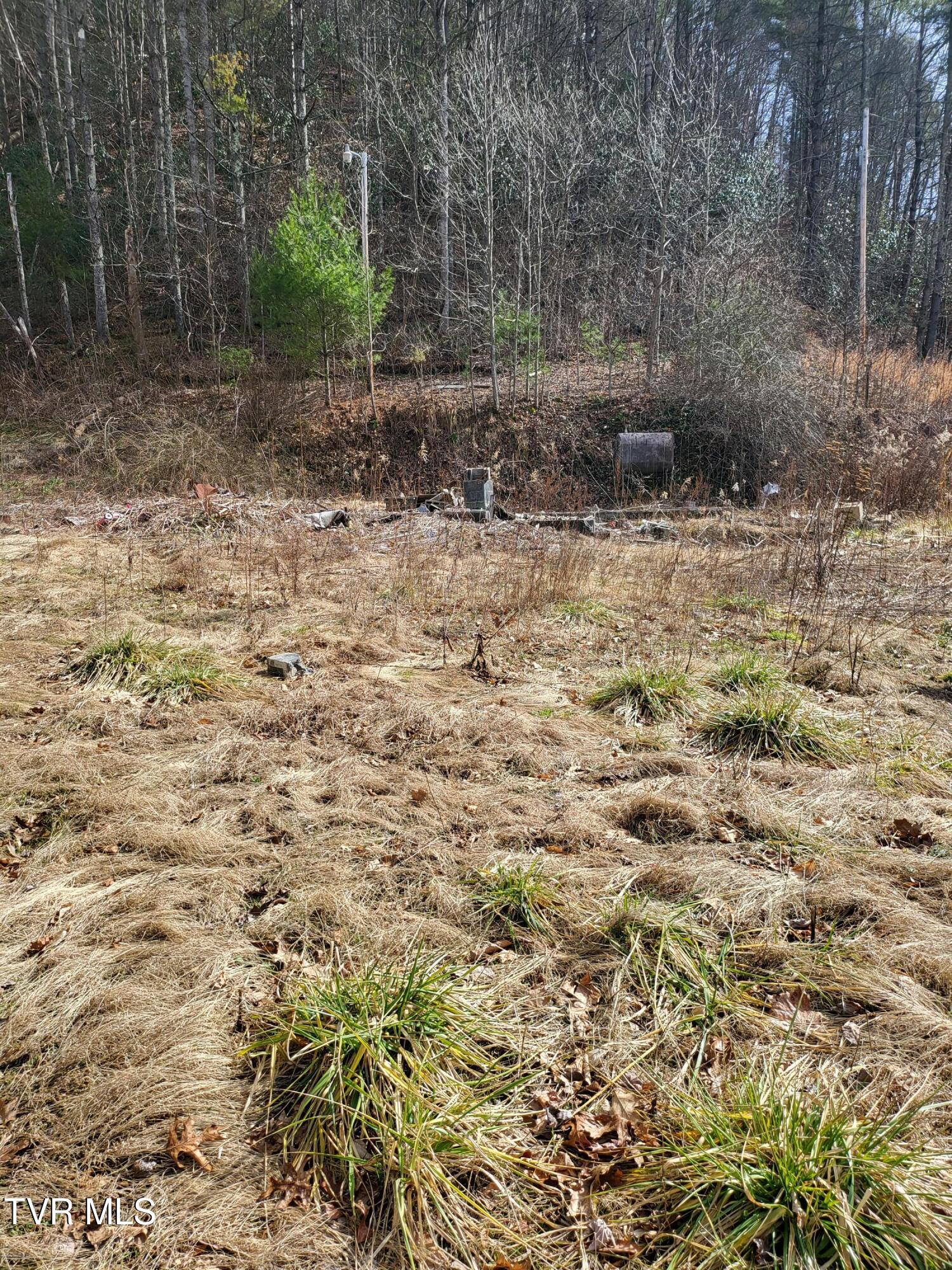 Image 4: 20260217_133740