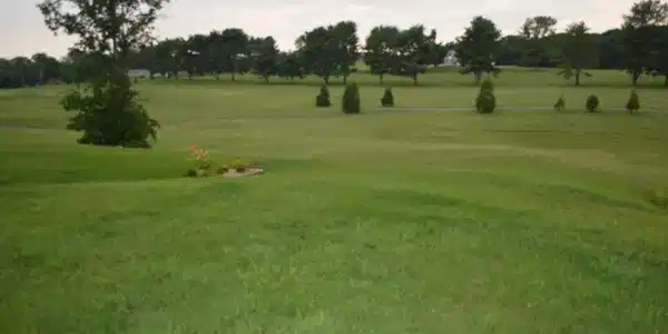 Image 2: 20230705141418299874000000-o