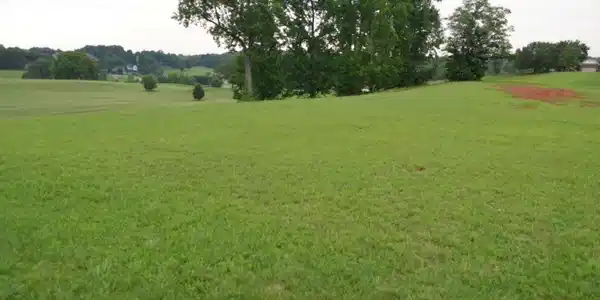 Image 3: 20230705141430012661000000-o