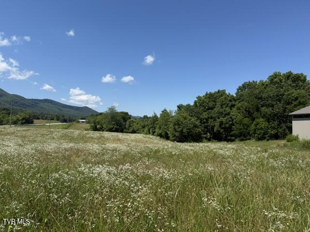 Image 4: IMG_1546
