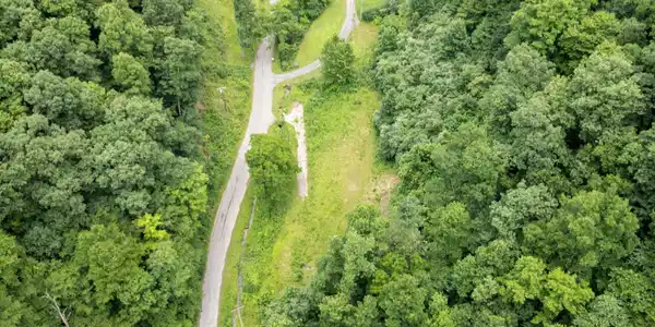 Image 4: 817 Doe Branch-04