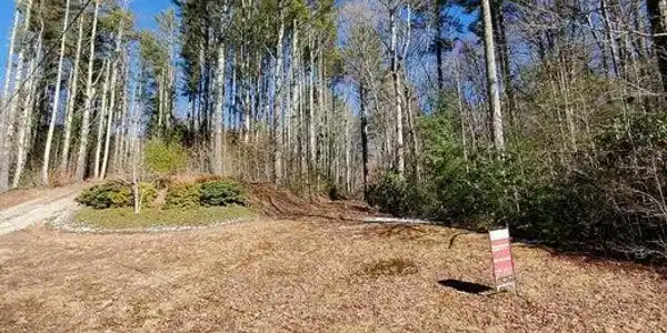 Image 3: Lot 1 - 25