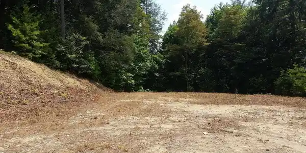 Image 4: Lot 1 - 1