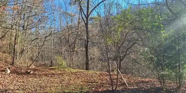 289a Early Branch Road
