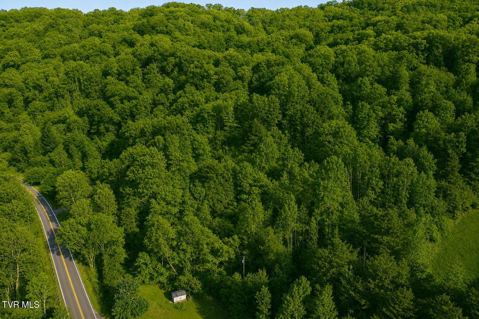 Image 3: _Pic3 (6)