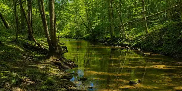 Image 4: _Pic4 (6)