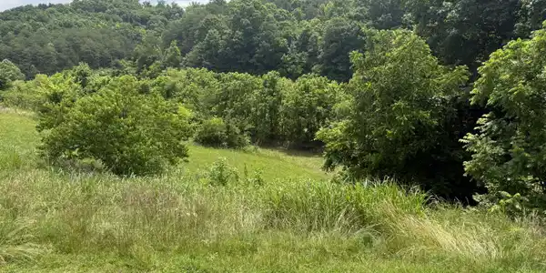 Image 3: IMG_1934