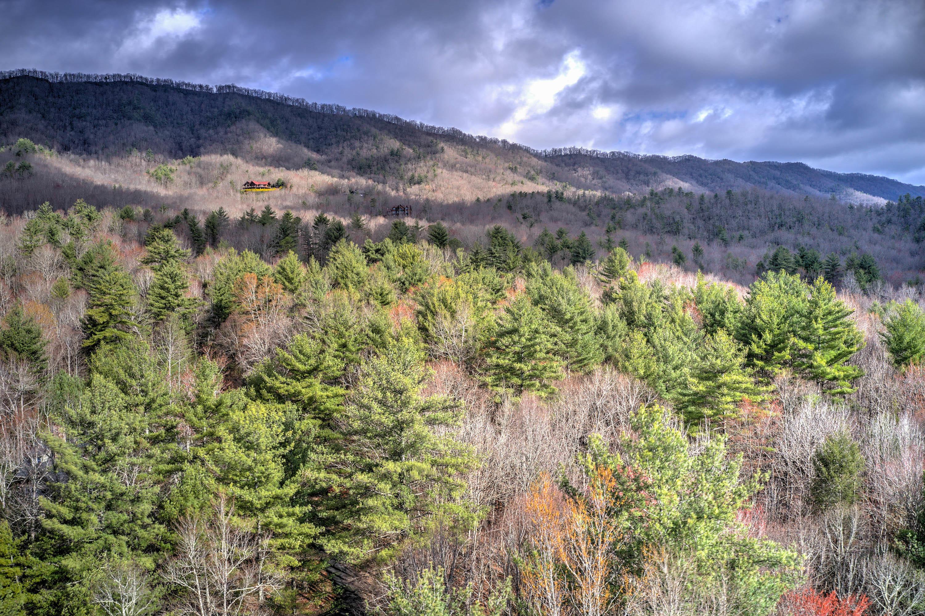 Image 4: 4A1B79E3-3F92-46EB-A048-365E502C4E79