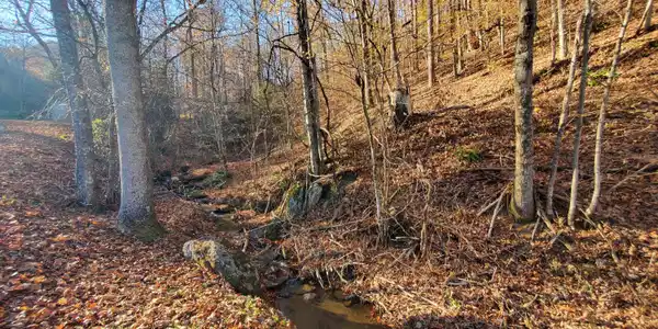 00 Ingram Branch Road