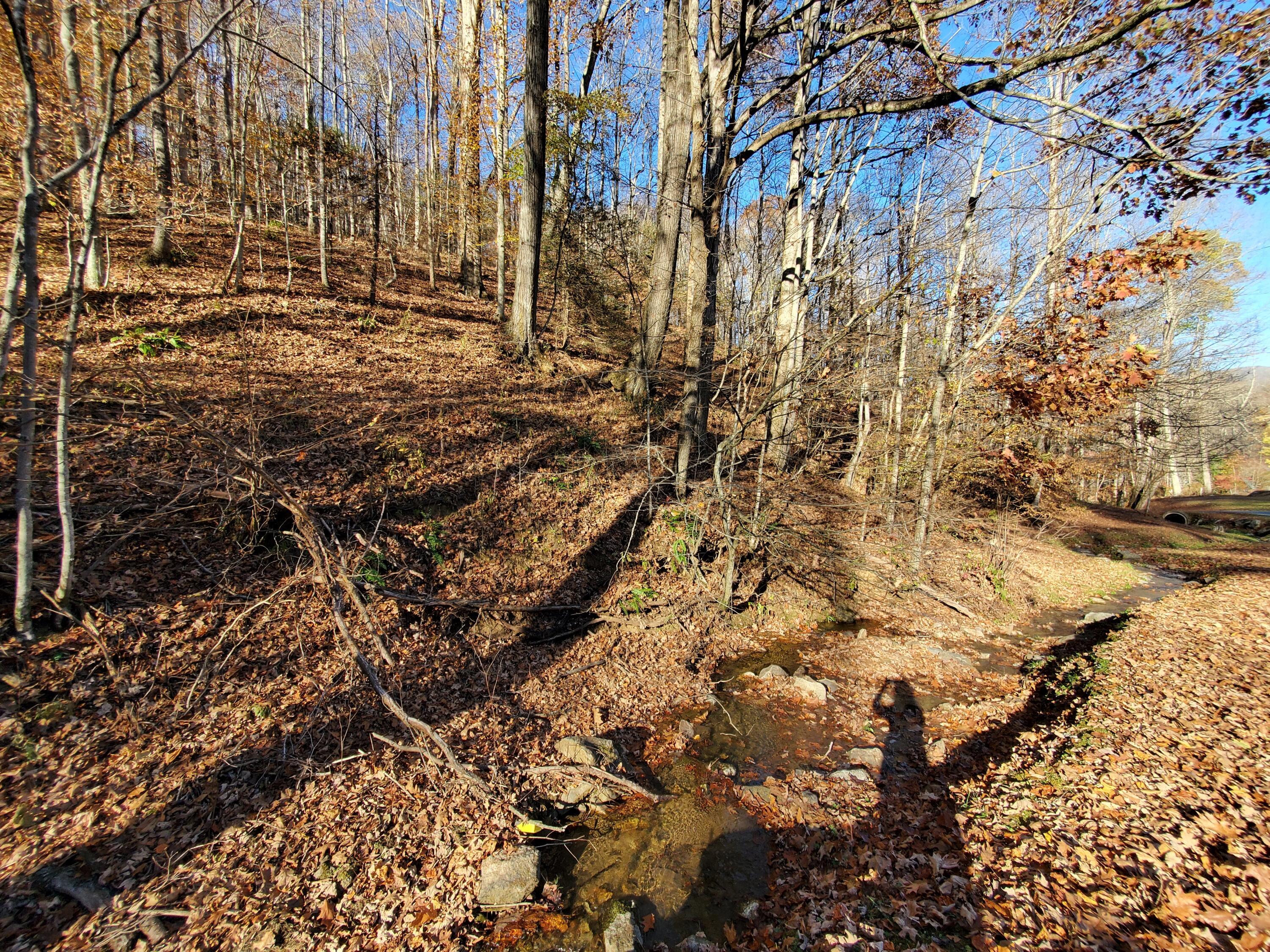 Image 3: 20231103_162107