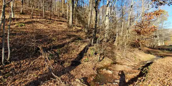 Image 3: 20231103_162107