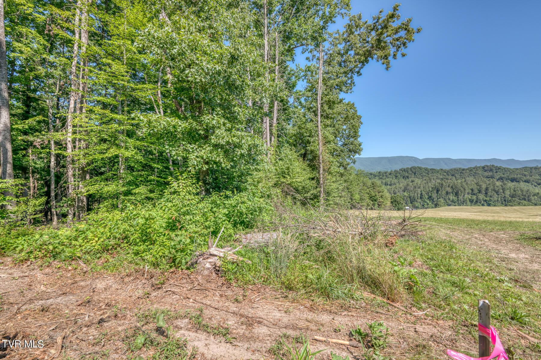 Image 1: TBD Sink Valley Rd-7