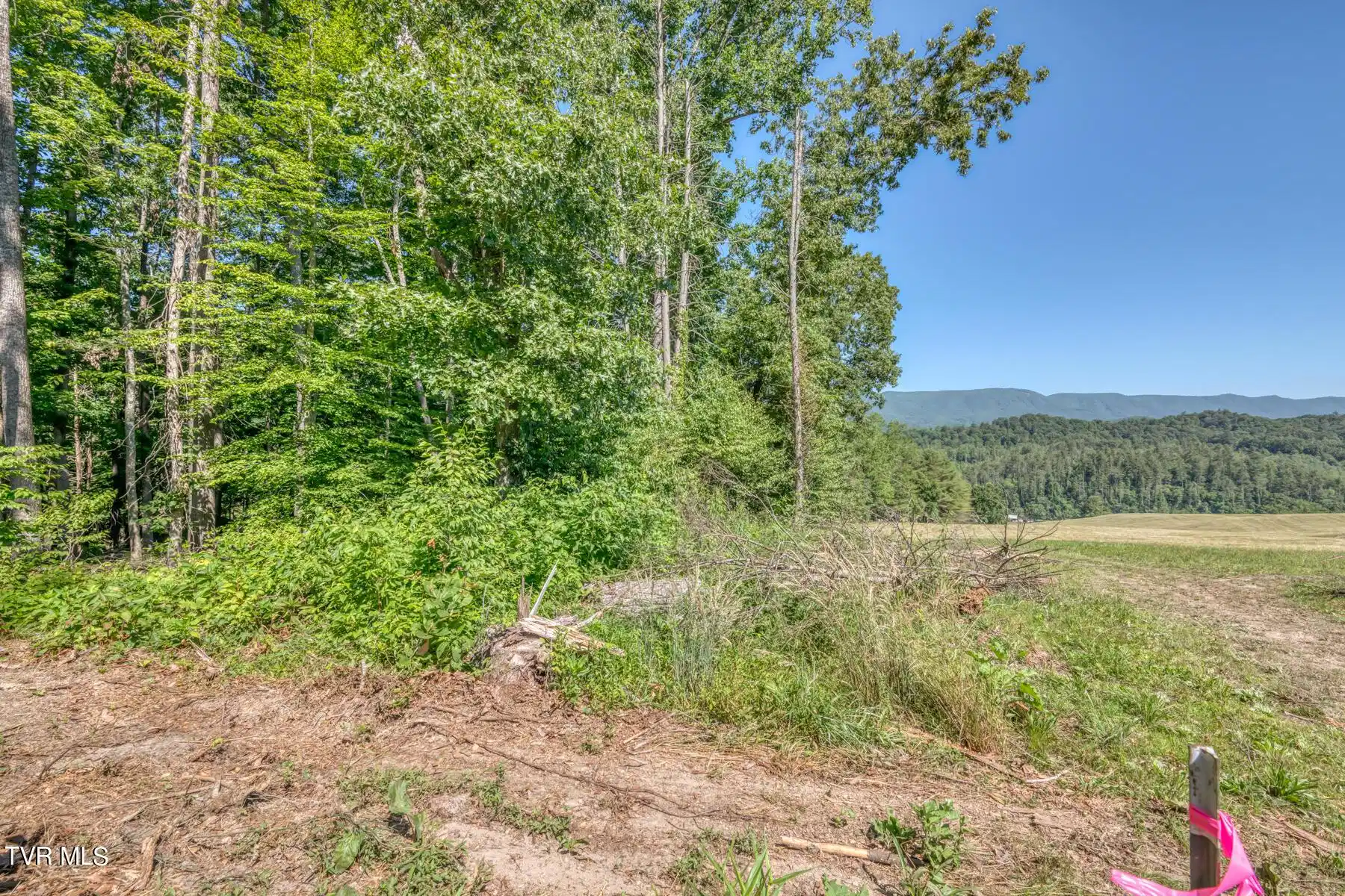Image 1: TBD Sink Valley Rd-7