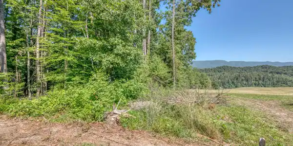 Tbd Sink Valley Road