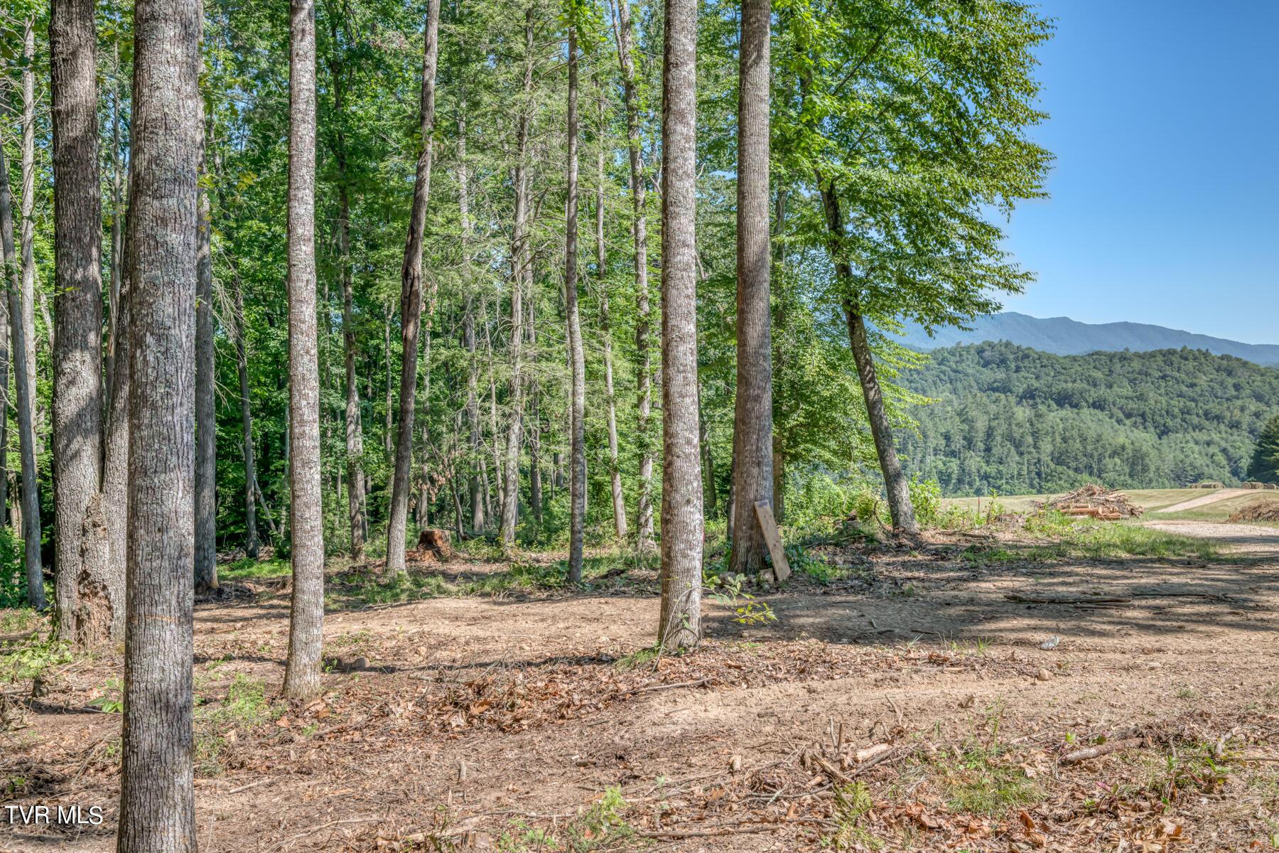 Image 2: TBD Sink Valley Rd-4