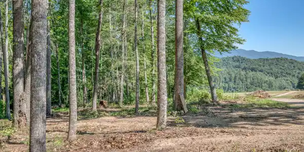 Image 2: TBD Sink Valley Rd-4