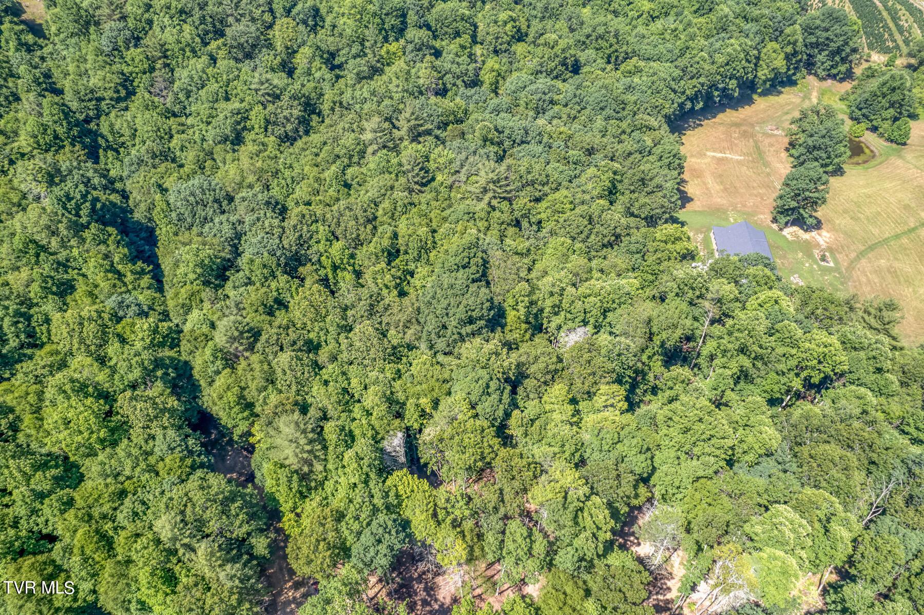 Image 3: TBD Sink Valley Rd-1