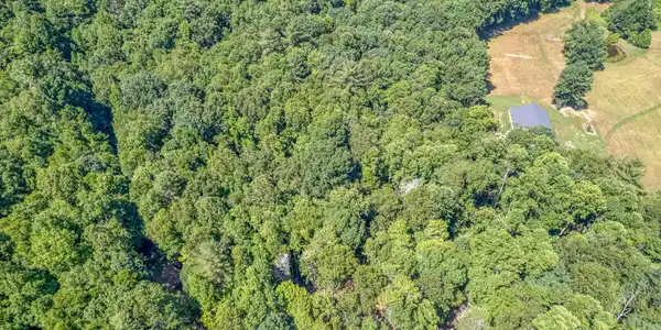 Image 3: TBD Sink Valley Rd-1