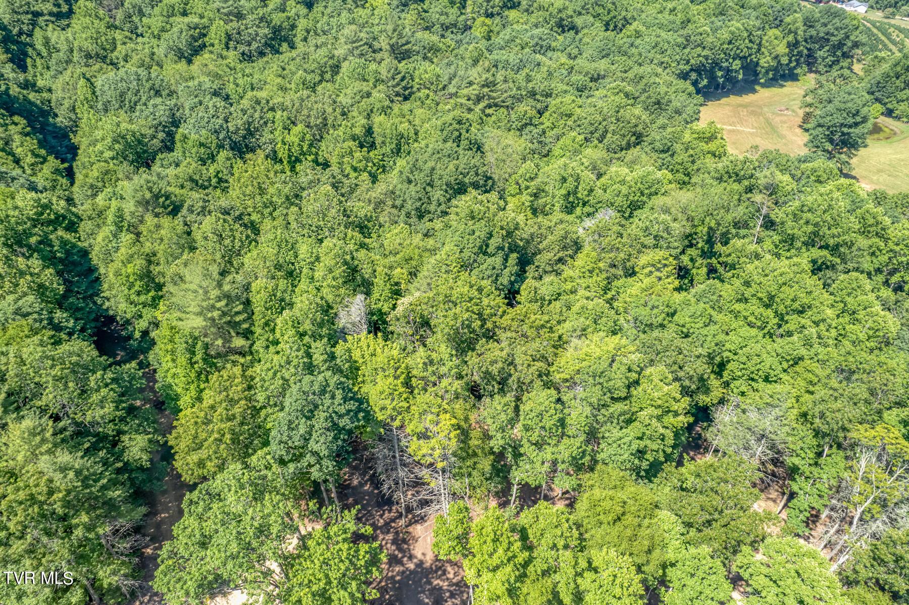Image 4: TBD Sink Valley Rd-2