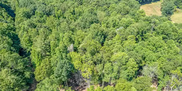 Image 4: TBD Sink Valley Rd-2