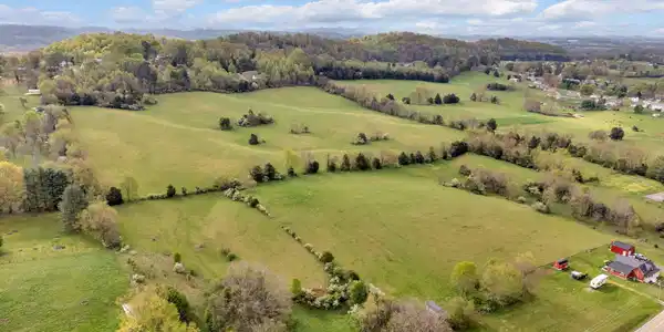 Image 3: 3-web-or-mls-DJI_20250408101332_0011_D
