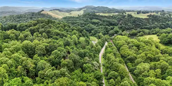 Image 3: 12_dji_20250616113454_0639_d