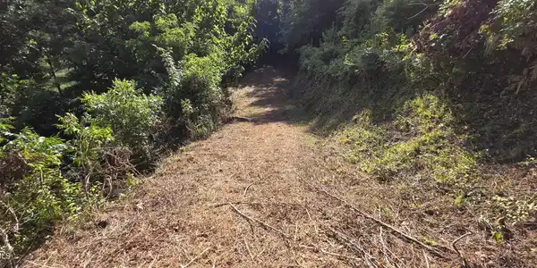 Image 4: 2 (2)