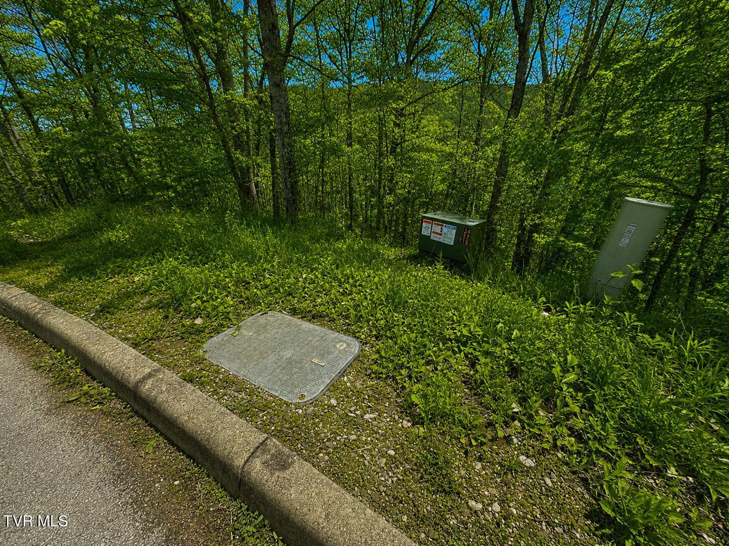 Image 4: _Pic4 (4)