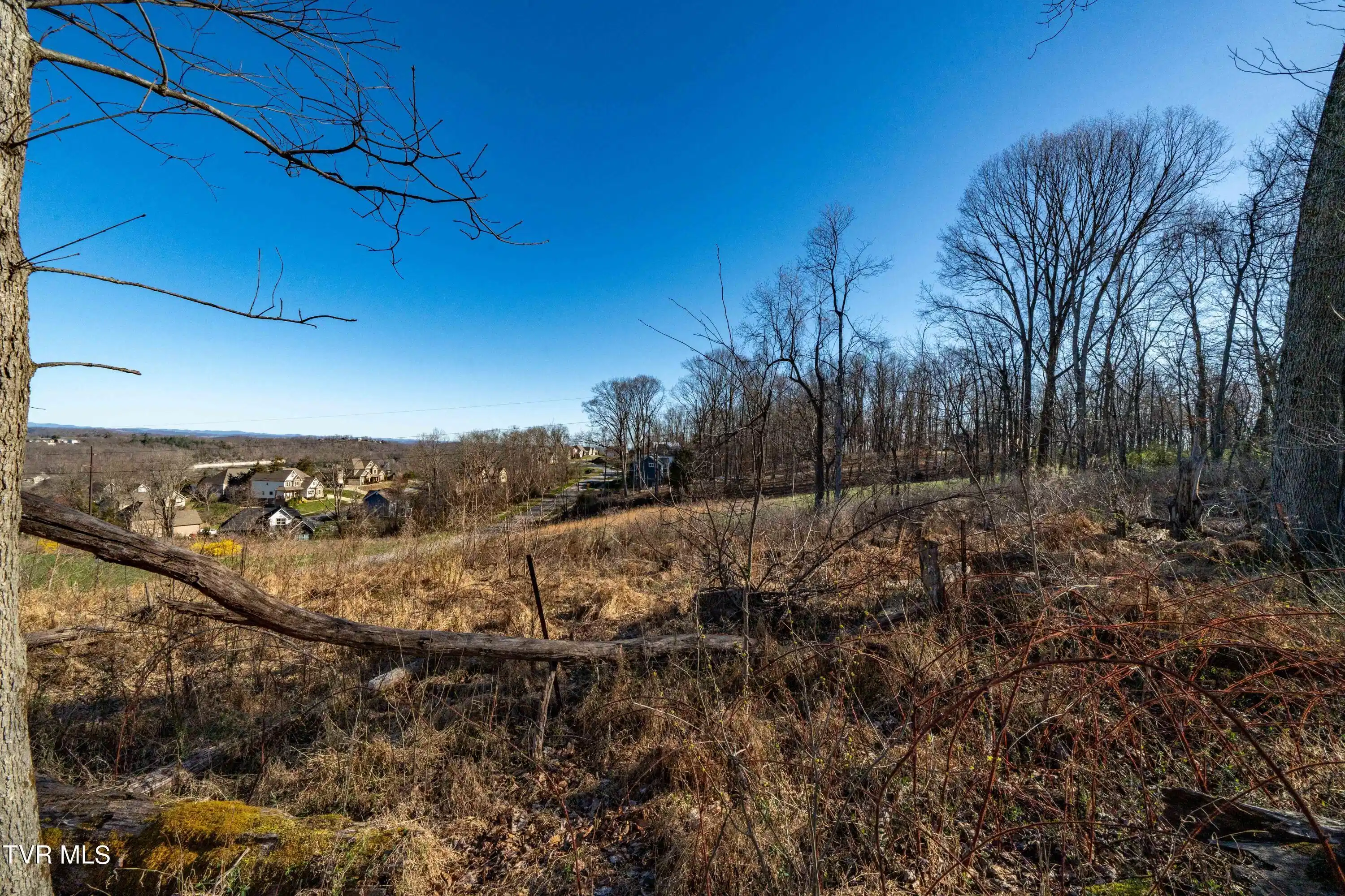 Image 1: 1579 Becky Dr Johnson City TN
