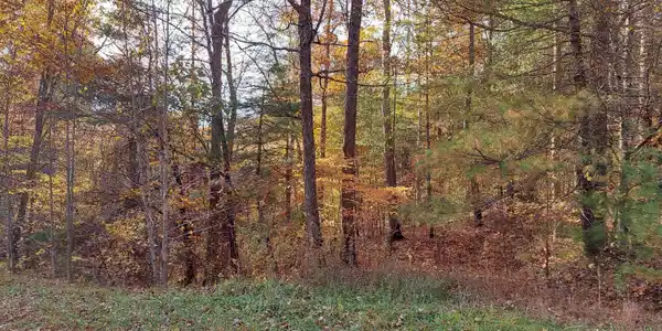 Lot 19 Sugar Maple Way