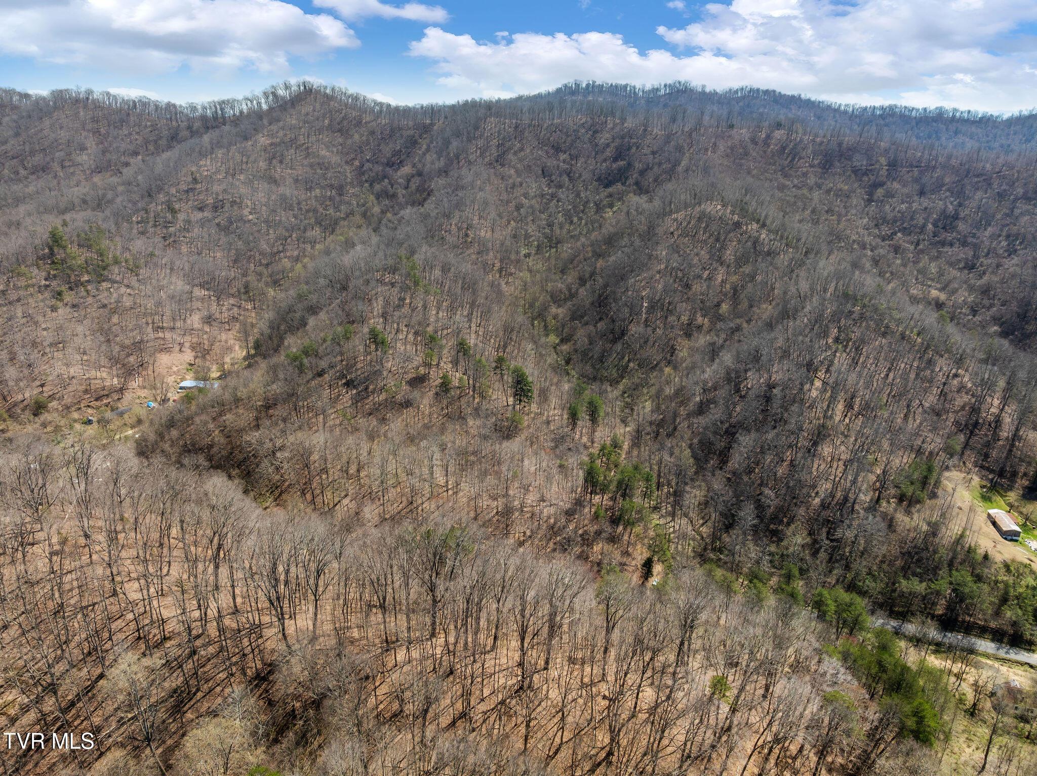 Image 3: DJI_0480