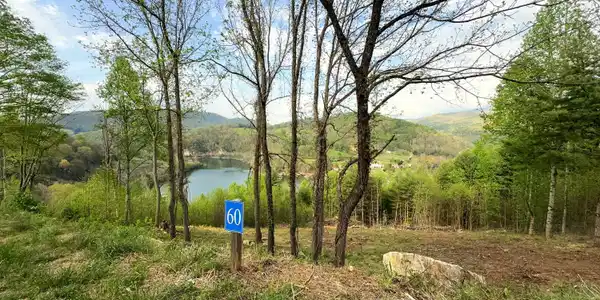 Lot 60 Cowan Town Road