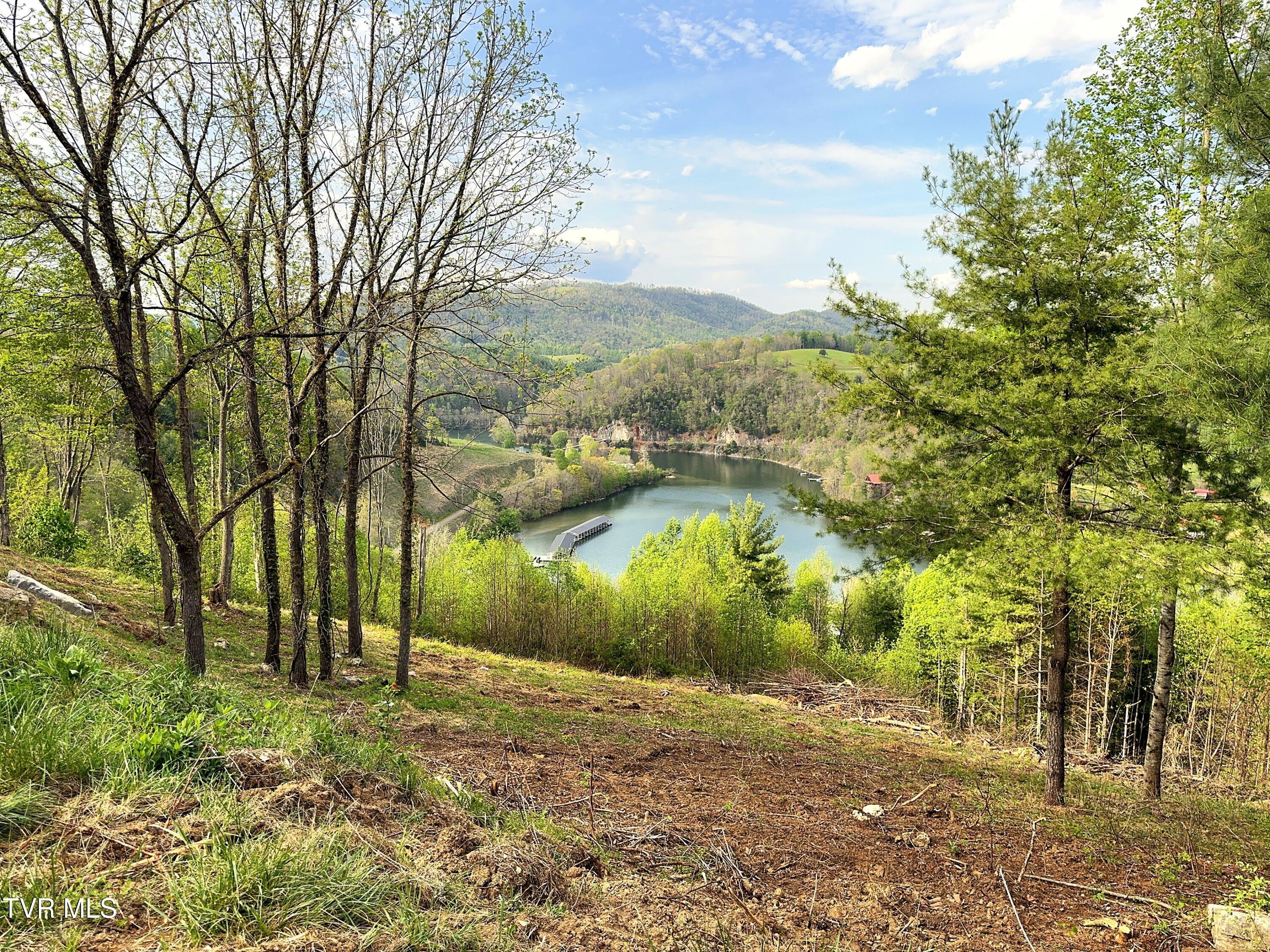 Image 2: Lot 60 (1)
