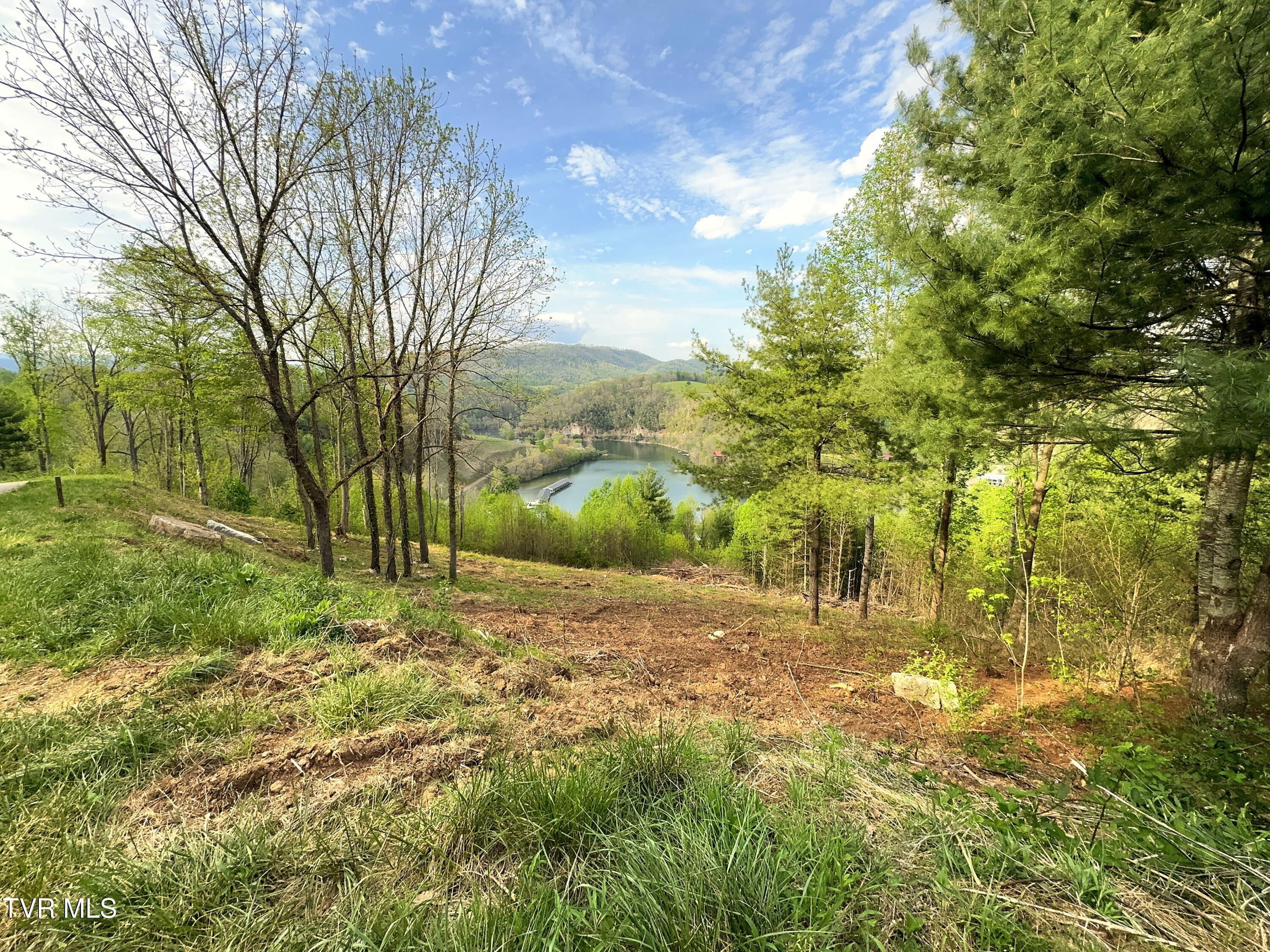 Image 3: Lot 60 (4)