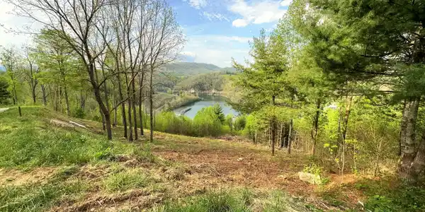 Image 3: Lot 60 (4)