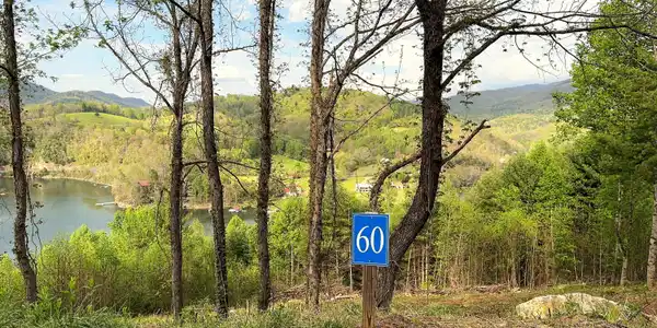 Image 4: Lot 60 (18)