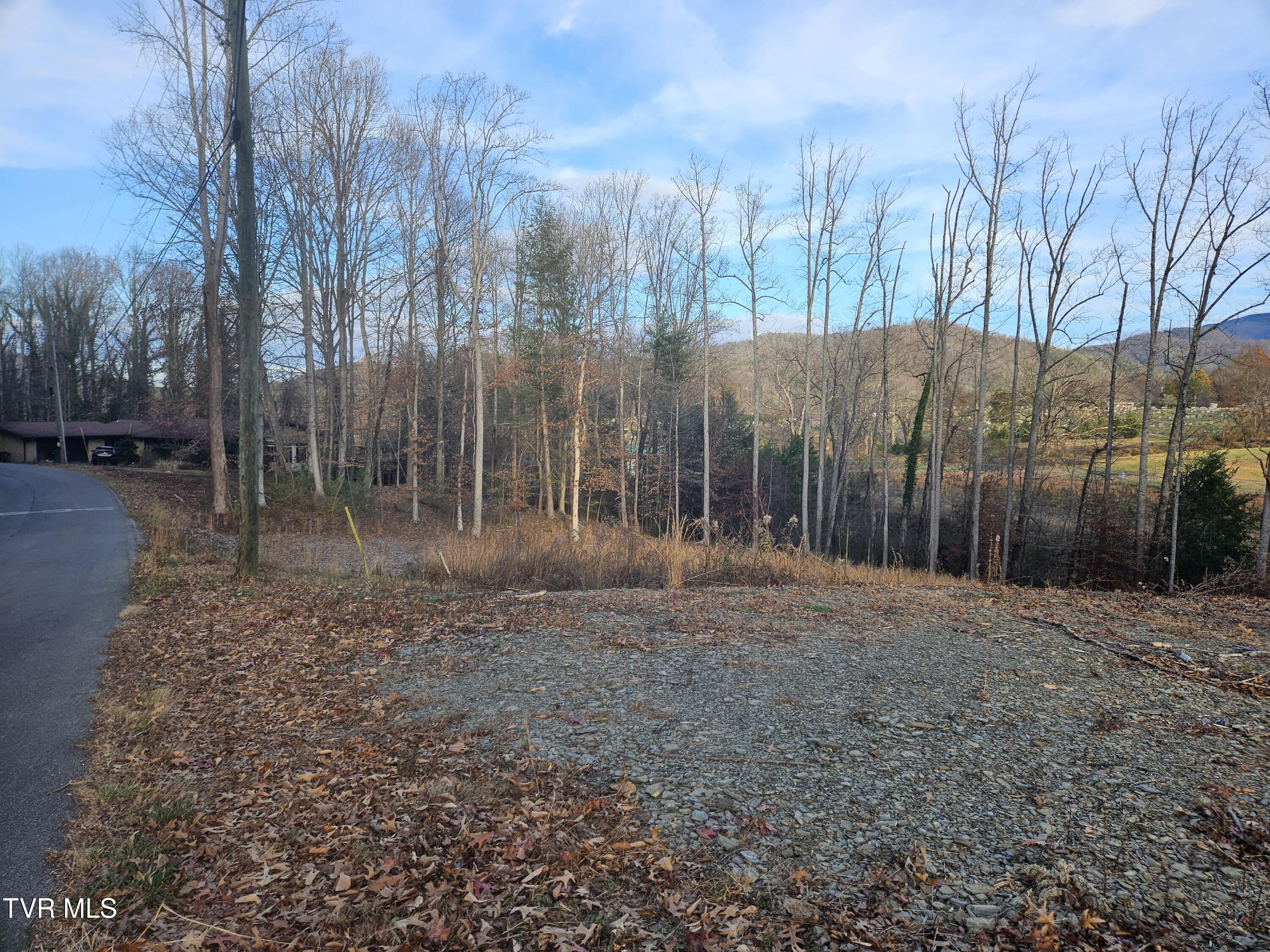 Image 2: 20241208_155842
