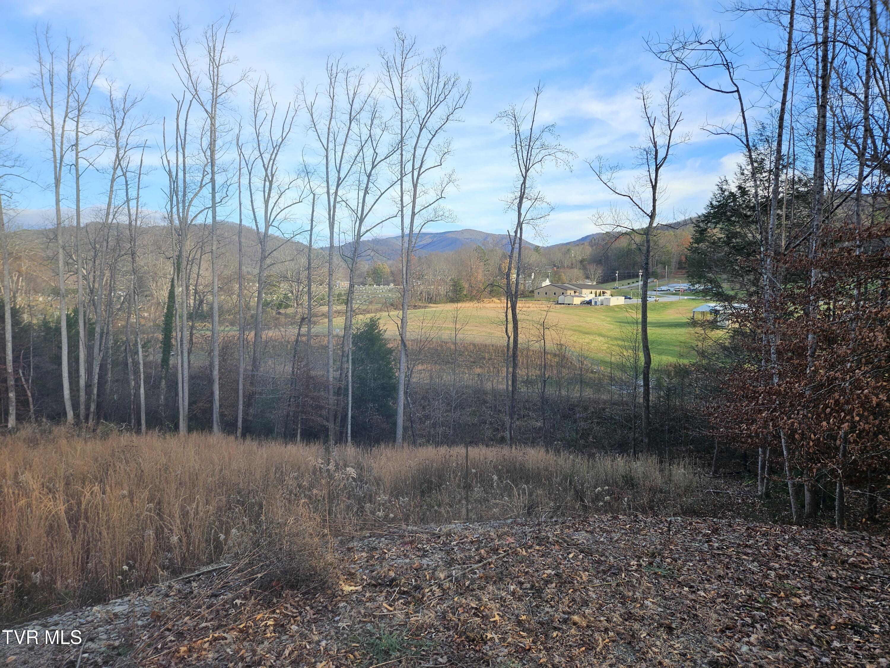 Image 3: 20241208_160020