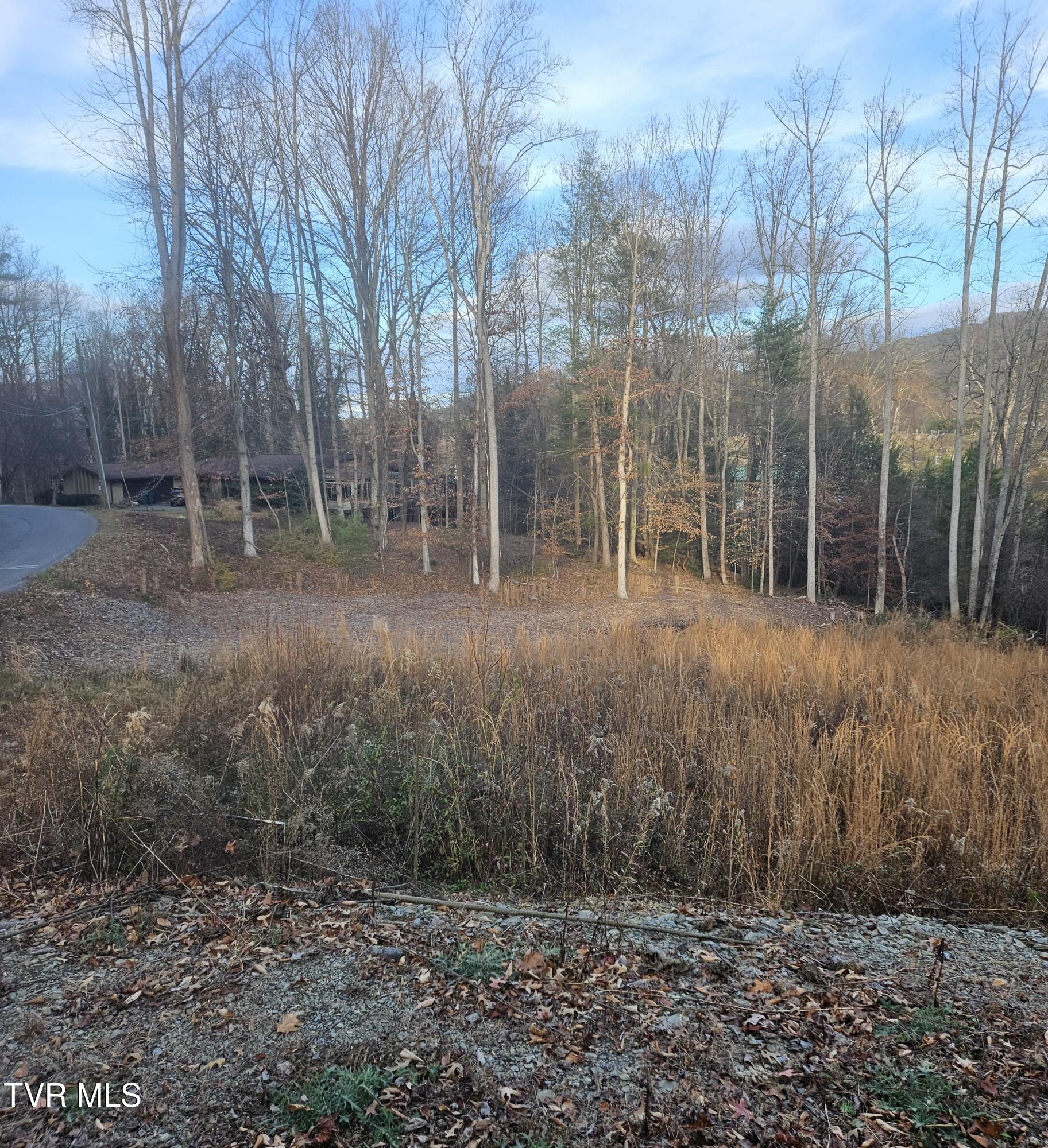 Image 4: RV pad across lot