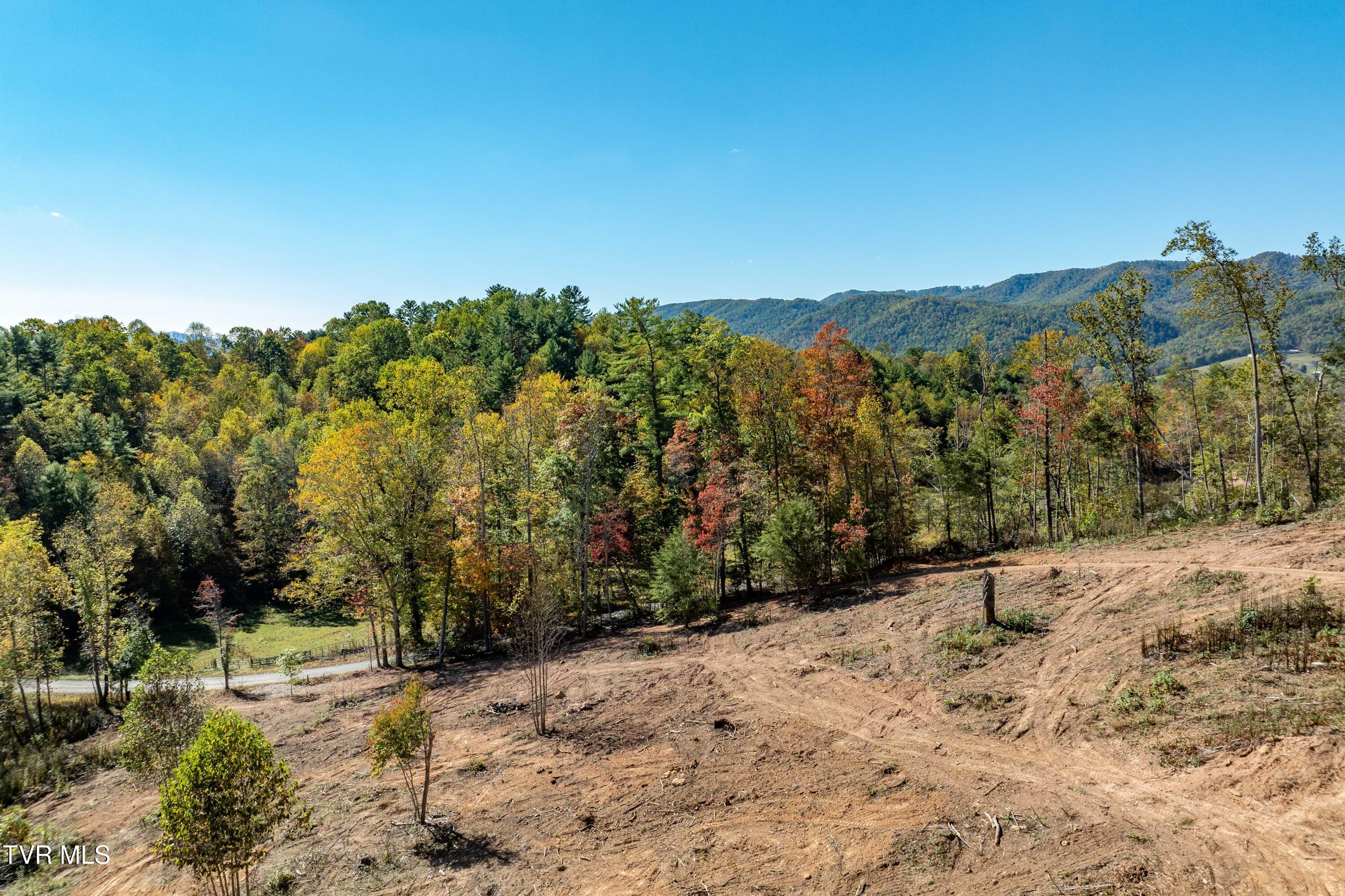 Image 3: Lot 1