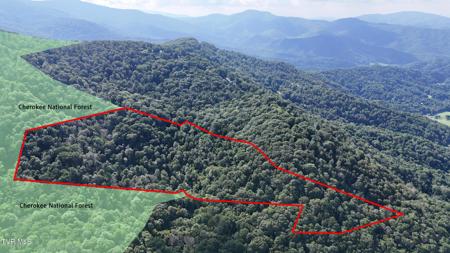 11.26ac Log Cabin Lane